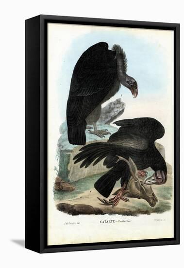 Vultures, 1863-79-Raimundo Petraroja-Framed Premier Image Canvas