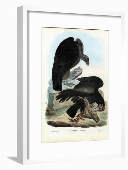 Vultures, 1863-79-Raimundo Petraroja-Framed Giclee Print