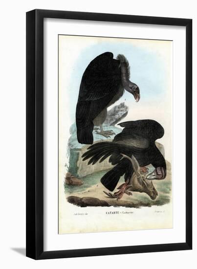 Vultures, 1863-79-Raimundo Petraroja-Framed Giclee Print