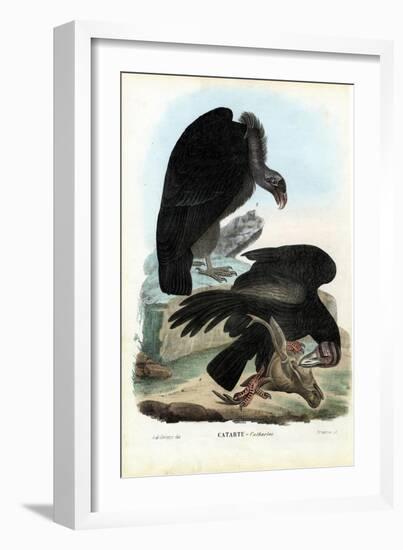 Vultures, 1863-79-Raimundo Petraroja-Framed Giclee Print