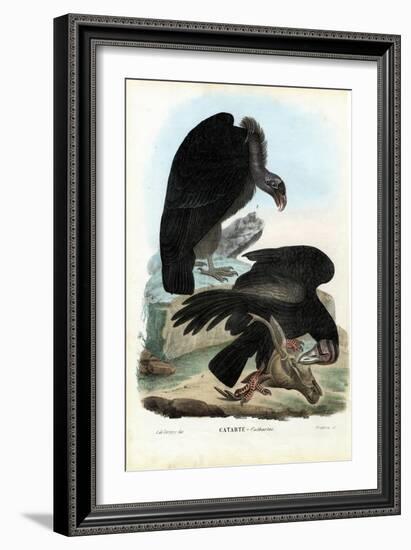 Vultures, 1863-79-Raimundo Petraroja-Framed Giclee Print