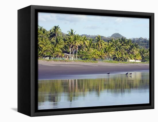 Vultures on the Beach at Playa Sihuapilapa, Pacific Coast, El Salvador, Central America-Christian Kober-Framed Premier Image Canvas