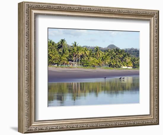 Vultures on the Beach at Playa Sihuapilapa, Pacific Coast, El Salvador, Central America-Christian Kober-Framed Photographic Print