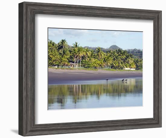 Vultures on the Beach at Playa Sihuapilapa, Pacific Coast, El Salvador, Central America-Christian Kober-Framed Photographic Print