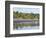 Vultures on the Beach at Playa Sihuapilapa, Pacific Coast, El Salvador, Central America-Christian Kober-Framed Photographic Print