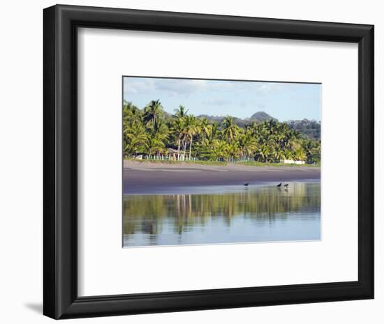 Vultures on the Beach at Playa Sihuapilapa, Pacific Coast, El Salvador, Central America-Christian Kober-Framed Photographic Print