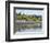 Vultures on the Beach at Playa Sihuapilapa, Pacific Coast, El Salvador, Central America-Christian Kober-Framed Photographic Print