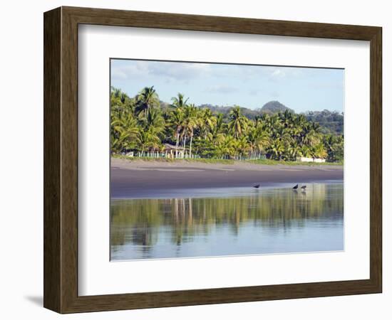 Vultures on the Beach at Playa Sihuapilapa, Pacific Coast, El Salvador, Central America-Christian Kober-Framed Photographic Print
