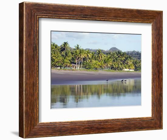 Vultures on the Beach at Playa Sihuapilapa, Pacific Coast, El Salvador, Central America-Christian Kober-Framed Photographic Print