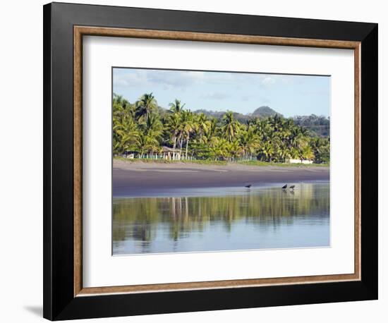 Vultures on the Beach at Playa Sihuapilapa, Pacific Coast, El Salvador, Central America-Christian Kober-Framed Photographic Print