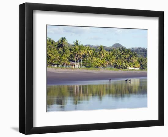 Vultures on the Beach at Playa Sihuapilapa, Pacific Coast, El Salvador, Central America-Christian Kober-Framed Photographic Print