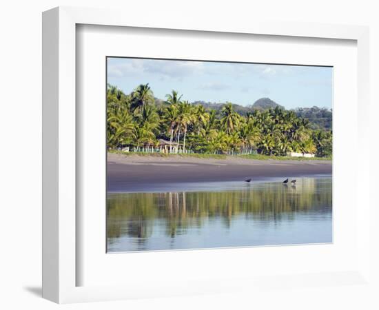 Vultures on the Beach at Playa Sihuapilapa, Pacific Coast, El Salvador, Central America-Christian Kober-Framed Photographic Print