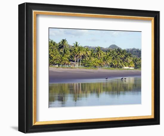 Vultures on the Beach at Playa Sihuapilapa, Pacific Coast, El Salvador, Central America-Christian Kober-Framed Photographic Print