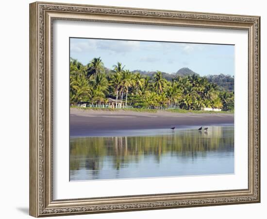 Vultures on the Beach at Playa Sihuapilapa, Pacific Coast, El Salvador, Central America-Christian Kober-Framed Photographic Print