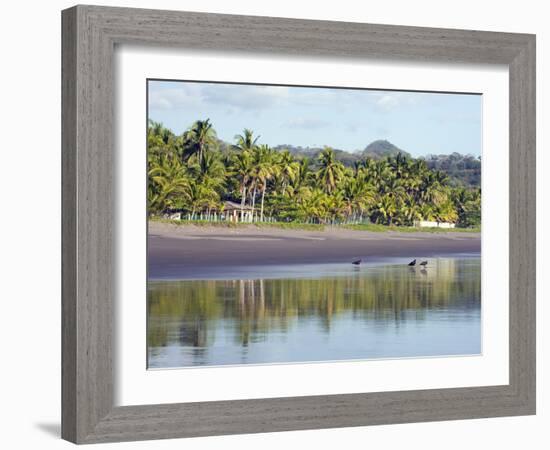 Vultures on the Beach at Playa Sihuapilapa, Pacific Coast, El Salvador, Central America-Christian Kober-Framed Photographic Print