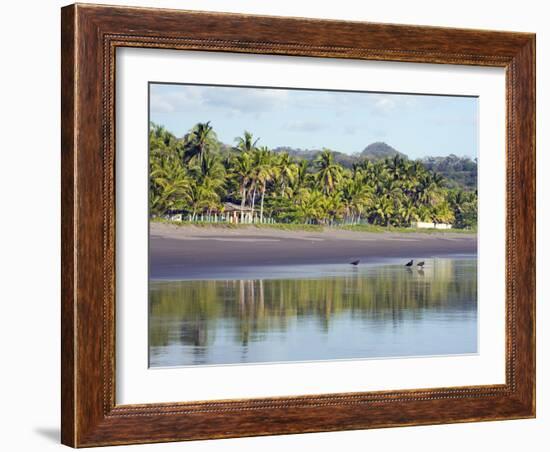 Vultures on the Beach at Playa Sihuapilapa, Pacific Coast, El Salvador, Central America-Christian Kober-Framed Photographic Print