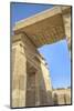 Vultures Painted on a Lintel, Temple of Haroeris and Sobek, Kom Ombo, Egypt,North Africa, Africa-Richard Maschmeyer-Mounted Photographic Print