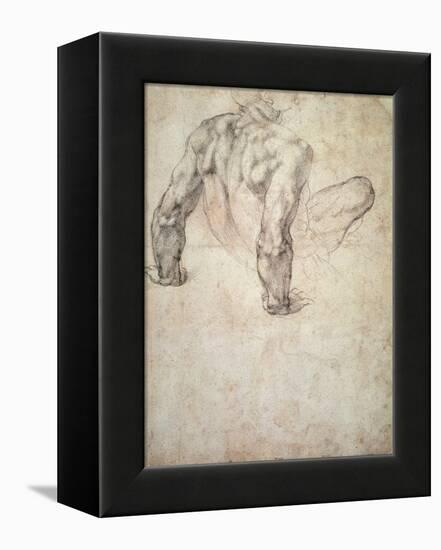 W.63R Study of a Male Nude, Leaning Back on His Hands-Michelangelo Buonarroti-Framed Premier Image Canvas