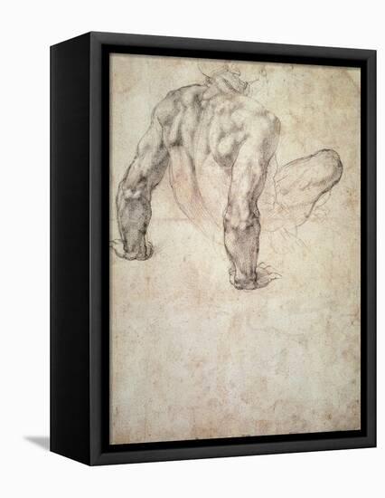 W.63R Study of a Male Nude, Leaning Back on His Hands-Michelangelo Buonarroti-Framed Premier Image Canvas