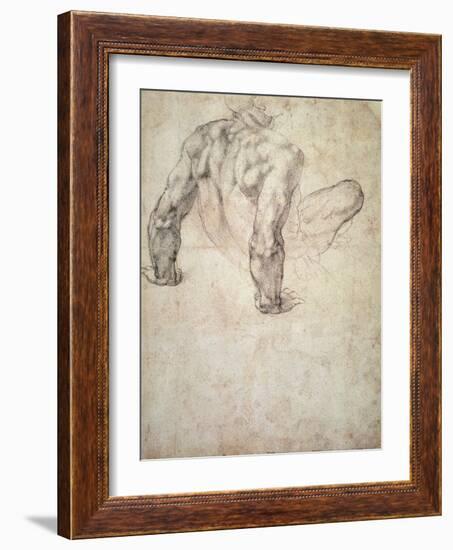 W.63R Study of a Male Nude, Leaning Back on His Hands-Michelangelo Buonarroti-Framed Giclee Print