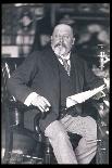 Albert, King of Belgium, First World War, 1914-W&D Downey-Photographic Print