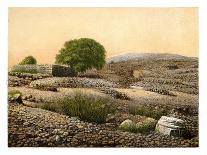The Well of En-Rogel, Jerusalem, C1870-W Dickens-Framed Giclee Print