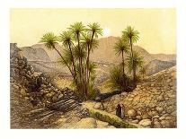 The Dead Sea, C1870-W Dickens-Framed Giclee Print