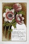 New Year Greetings Card With Floral Decoration and Poem by G. Herbert-W. Dickes-Framed Giclee Print