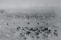 1896 Colorado Springs Scenic View-W.E. Hook-Mounted Art Print