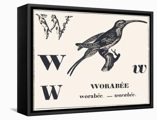 W for Worabee (Variety of African Weaver, Sought after as a Cage Bird), 1850 (Engraving)-Louis Simon (1810-1870) Lassalle-Framed Premier Image Canvas