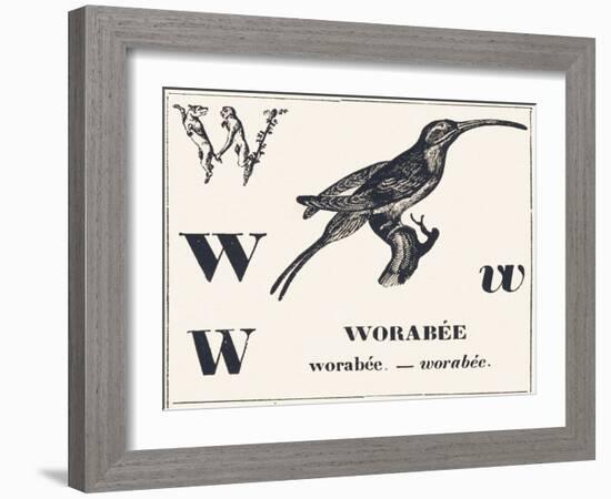 W for Worabee (Variety of African Weaver, Sought after as a Cage Bird), 1850 (Engraving)-Louis Simon (1810-1870) Lassalle-Framed Giclee Print