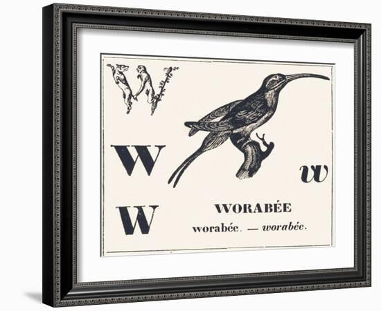 W for Worabee (Variety of African Weaver, Sought after as a Cage Bird), 1850 (Engraving)-Louis Simon (1810-1870) Lassalle-Framed Giclee Print