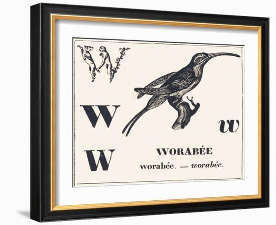 W for Worabee (Variety of African Weaver, Sought after as a Cage Bird), 1850 (Engraving)-Louis Simon (1810-1870) Lassalle-Framed Giclee Print