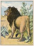 Male Lion Stands Alone in a Desert-W. Foster-Photographic Print