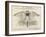 W.G.Grace as a Giant Bat-null-Framed Art Print