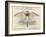 W.G.Grace as a Giant Bat-null-Framed Art Print