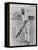 W G Grace Ready to Receive the Ball-null-Framed Premier Image Canvas