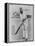 W G Grace Ready to Receive the Ball-null-Framed Premier Image Canvas