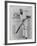 W G Grace Ready to Receive the Ball-null-Framed Photographic Print