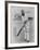 W G Grace Ready to Receive the Ball-null-Framed Photographic Print