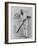 W G Grace Ready to Receive the Ball-null-Framed Photographic Print