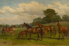 Ploughing with a Three-Horse Team-W.h. Hopkins-Framed Art Print