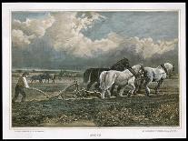 Ploughing with a Three-Horse Team-W.h. Hopkins-Art Print