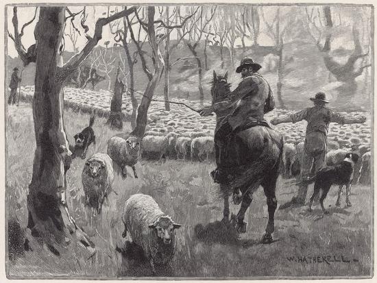 Premium Giclee Print, , large