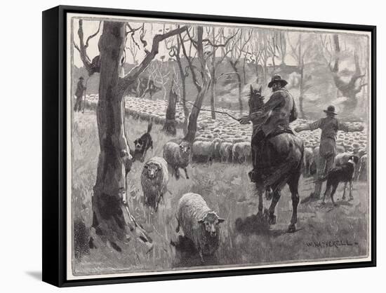 Stretched Canvas Print, , large
