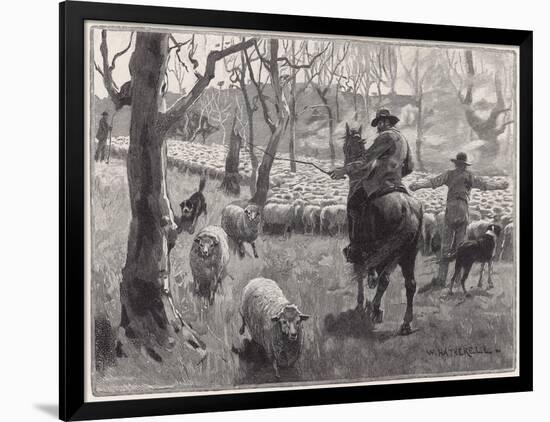 Art Print, , large