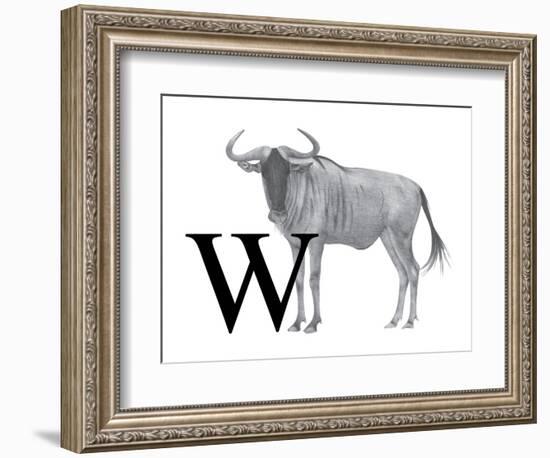 W is for Wildebeest-Stacy Hsu-Framed Art Print