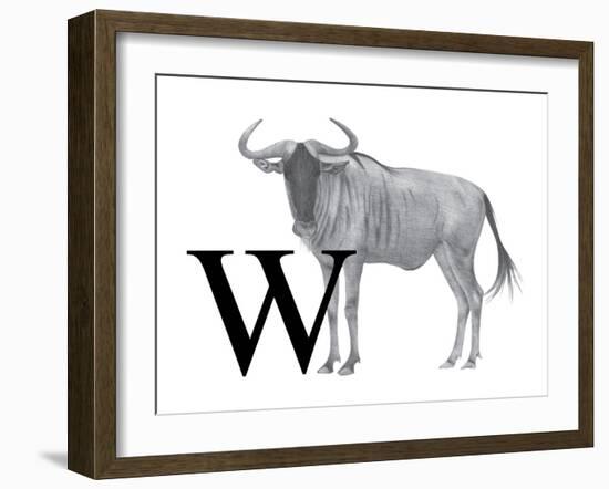 W is for Wildebeest-Stacy Hsu-Framed Art Print