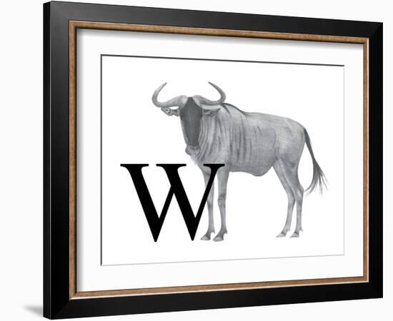 W is for Wildebeest-Stacy Hsu-Framed Art Print