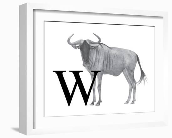 W is for Wildebeest-Stacy Hsu-Framed Art Print